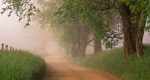 Bill Moyers Journal