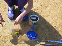 Park Explorer Playkit investigating