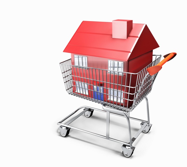 A house in a shopping cart