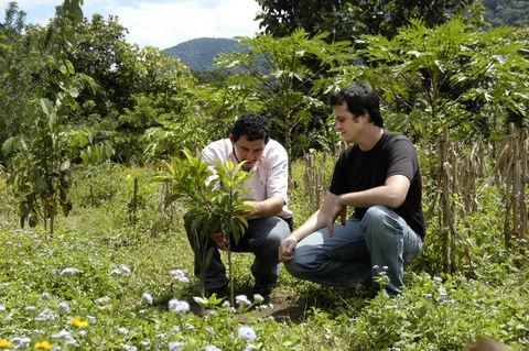 Peace Corps Volunteer 