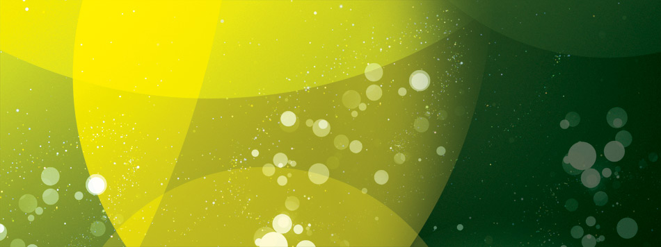 PBS PBS Shorts