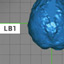 Compare the Brains
