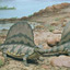 Mass Extinction