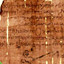 Papyrus