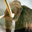 The Extinction Debate