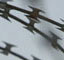The JOURNAL on Torture