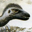 Australia's Vanished Beasts
