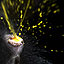 How We Got the Spray Shot
