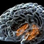 How Memory Works