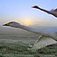 Long-Distance Migrations