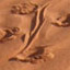 Wild Lizard Chase