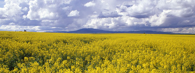 Outdoor Idaho