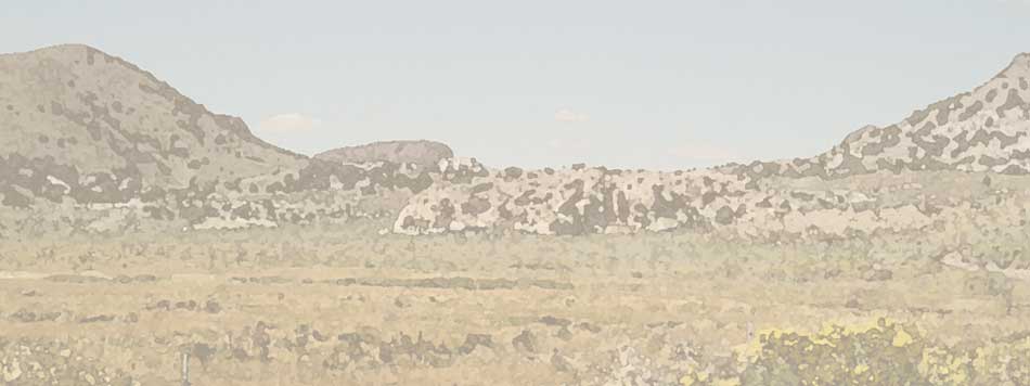Wild Nevada