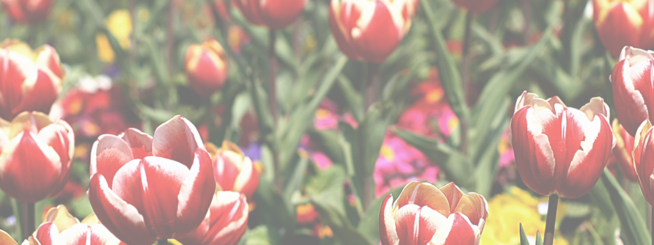 Art of Gardening