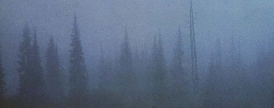 Our Vanishing Wilderness