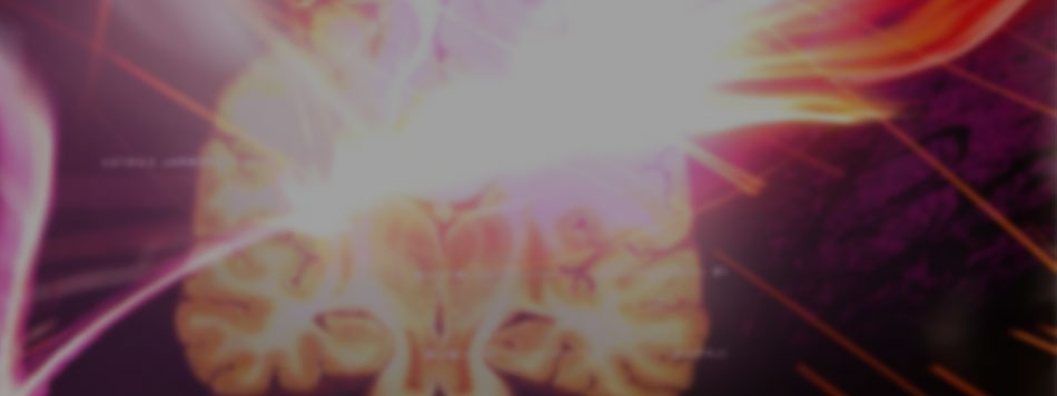 The Human Spark
