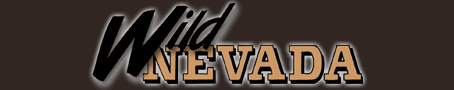 Wild Nevada