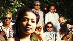 Dengue Fever