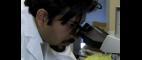 PBS NewsHour | In New Book, Doctor Explores History of Cancer | PBS