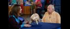 Antiques Roadshow | Preview: Las Vegas, Hour 2 | PBS