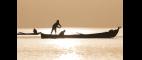 Nature | Trailer | Braving Iraq | PBS