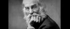 American Experience | Walt Whitman Preview | PBS