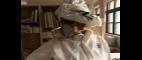 PBS NewsHour | Toxic Fallout: Air Quality in Lower Manhattan (4/16/2002) | PBS