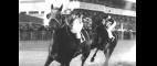 American Experience | Seabiscuit Preview | PBS