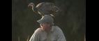 Nature | My Life as a Turkey - Preview | PBS