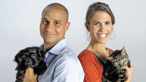 Why We Love Cats And Dogs Video Thumbnail