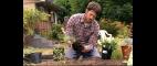 PBS NewsHour | Seattleites Construct Rain Gardens to Curb Pollution From Stormwater Runoff | PBS