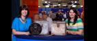 Antiques Roadshow | Web Appraisal: 1916 Early "Cub Comedies" Silent 35mm Films | PBS