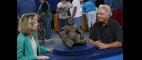 Antiques Roadshow | Tulsa, OK (Hour Three) - Preview | PBS