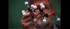Nature | Skunk Spray Chemistry | PBS