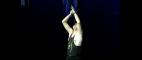 PBS NewsHour | Rosling Brings Life, Sword-Swallowing to Health Statistics | PBS
