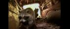 Nature | The Importance of Raccoon Play | PBS