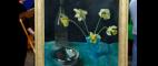 Antiques Roadshow | Appraisal: Carolyn Wyeth Still Life, ca. 1940 | PBS
