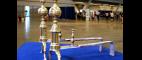 Antiques Roadshow | Web Appraisal: Early 19th-C. Federal Brass Andirons | PBS