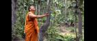 Religion & Ethics NewsWeekly | Forest Monks | PBS