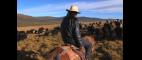 Independent Lens | All Seasons Define the Lives of TIbetan Nomads | PBS