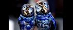 Antiques Roadshow | Appraisal: Martin Brothers Wally Birds Humidor, ca. 1905 | PBS