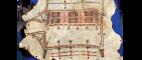 Antiques Roadshow | Appraisal: Fake 20th-Century Buffalo Robe | PBS