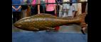 Antiques Roadshow | Appraisal: Fish Trade Sign, ca. 1855 | PBS