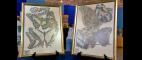 Antiques Roadshow | Appraisal: Seguy Butterfly Prints, ca. 1928 | PBS