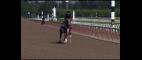 PBS NewsHour | Hopes for a Triple Crown Once Again a Scratch | PBS