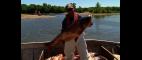 PBS NewsHour | An Old Fashioned Strategy to Keep Asian Carp at Bay | PBS