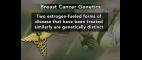 PBS NewsHour | Genetic Analysis of Breast Cancer Could Change Treatment | PBS