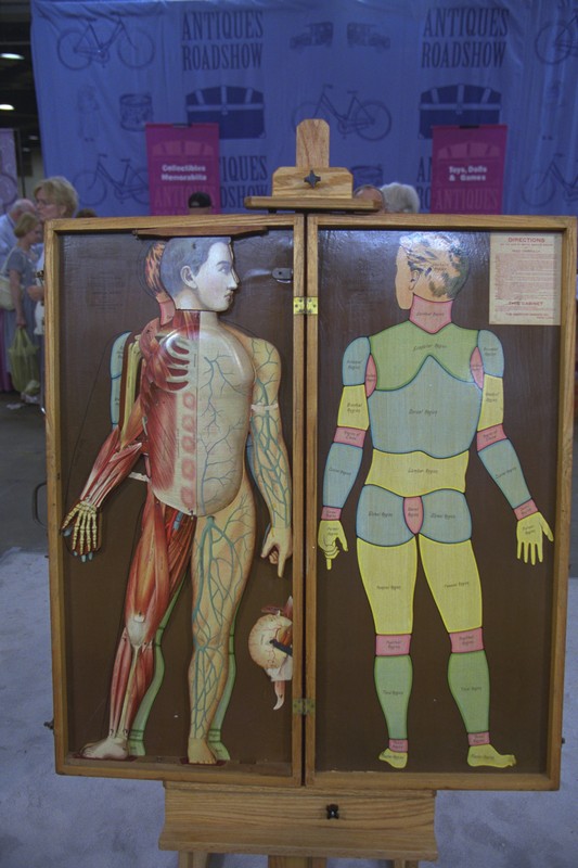 Anatomy "Manikin," ca. 1888 Antiques Roadshow PBS