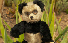 Appraisal Collection | Desert Botanical Garden, Hour 1