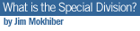 What is the Special Division?